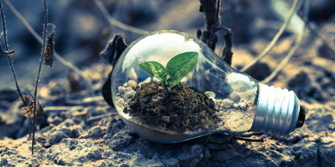 Nuevas ayudas en Andalucía para reducir emisiones y adaptarse al cambio climático