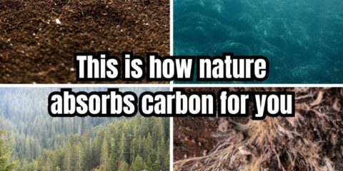 Publicadas nuevas directrices para proteger los espacios Natura 2000 frente al cambio climático en la UE