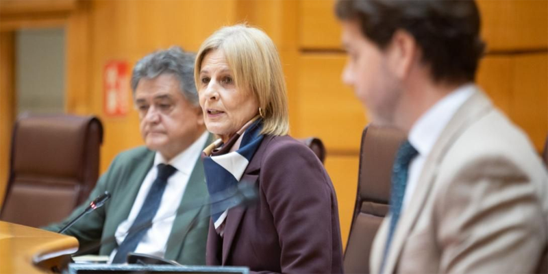 La FEMP presenta la Guía de recomendaciones para una tramitación ágil en materia de vivienda