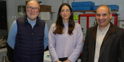 Investigadores de la UCO diseñan un adoquín totalmente reciclado con residuos mineros