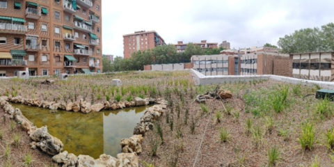 Barcelona naturaliza las cubiertas de 10 guarderías municipales para mejorar el entorno urbano