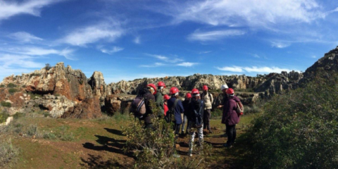 El Programa Empleaverde+ destina 12,6 millones de euros a 42 proyectos de formación ecológica