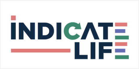 Análisis de costes y beneficios del carbono de ciclo de vida y la construcción de bajas emisiones