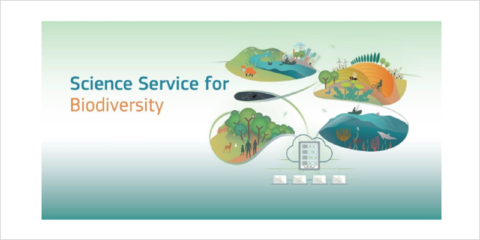 El JRC destaca las cubiertas y muros verdes para restaurar la naturaleza en las ciudades