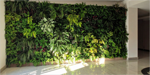 Los jardines verticales reducen hasta un 98% los contaminantes del aire en interiores, según un estudio