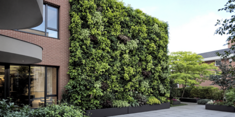 Un nuevo estudio confirma que la infraestructura verde mejora el estrés térmico y el bienestar