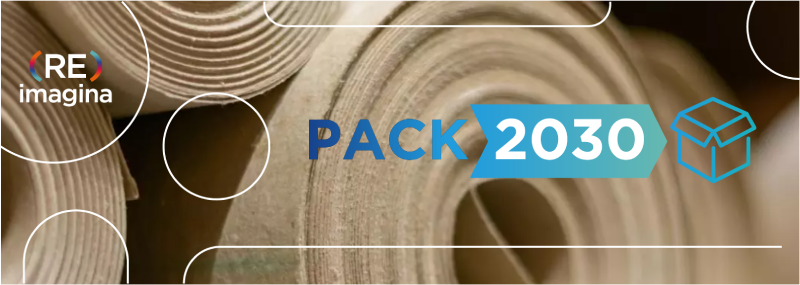 Saint-Gobain pack 2030