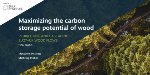 Análisis de los flujos de madera en la UE y su impacto en la capacidad de almacenamiento de carbono