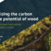 Análisis de los flujos de madera en la UE y su impacto en la capacidad de almacenamiento de carbono