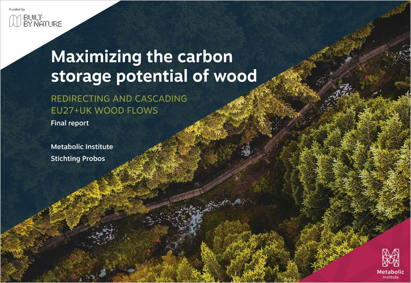 Un estudio analiza los flujos de madera en la UE y su impacto en la capacidad de almacenamiento de carbono