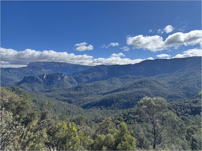 La UCO participa en el proyecto Fortalece para restaurar ecosistemas y reforzar la gestión forestal