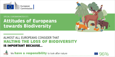 El 94% de los europeos ve esencial cuidar la naturaleza ante el cambio climático, según el Eurobarómetro especial sobre biodiversidad