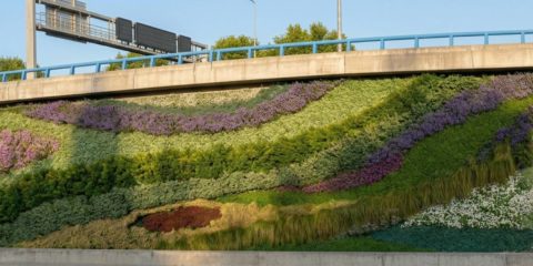 Comienza la construcción de los nuevos jardines verticales en la M-30 de Madrid a la altura de Ventas