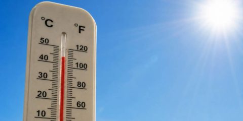 Luz verde a la creación de un Panel Científico de Acción frente al Cambio Climático
