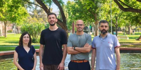 Un estudio de la UPV avala los pavimentos permeables como solución frente al cambio climático