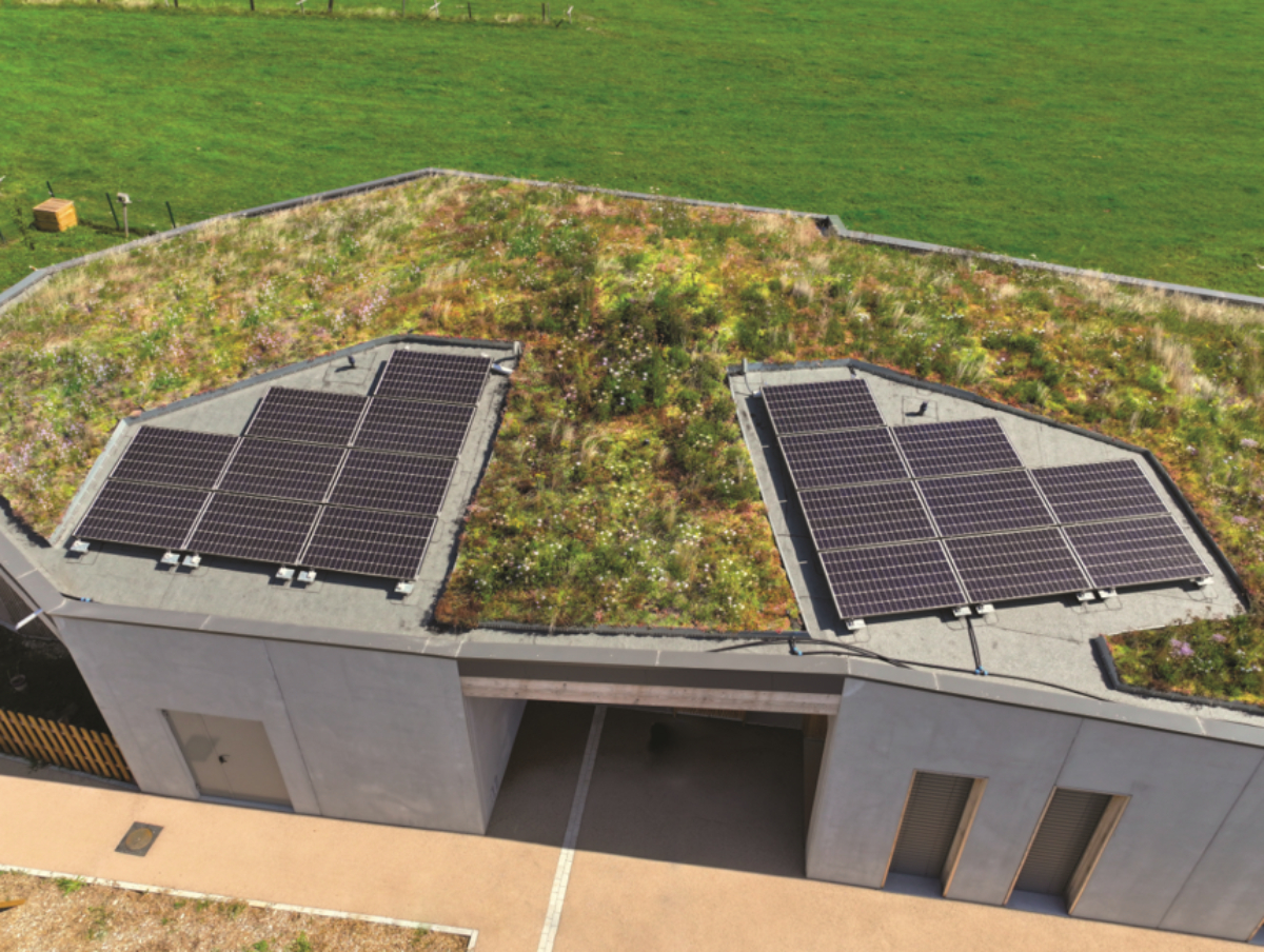 Imagen cubierta mixta, fotovoltaica y vegetal