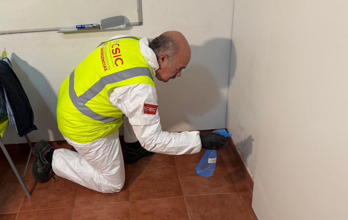 El CSIC patenta una formulación antifúngica para la recuperación de viviendas afectadas por inundaciones
