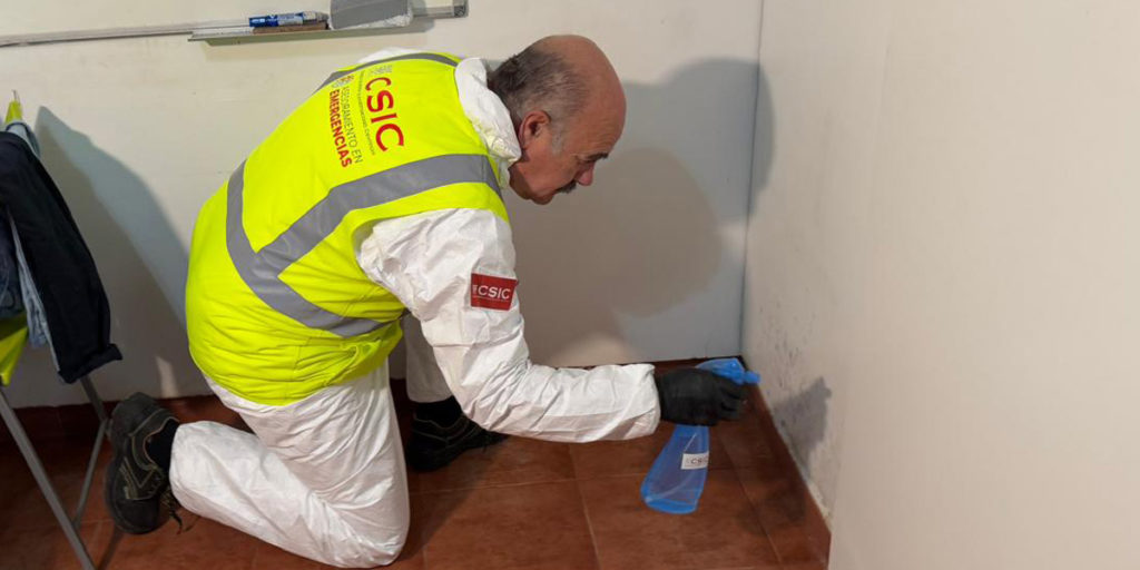 El CSIC patenta una formulación antifúngica para la recuperación de viviendas afectadas por inundaciones