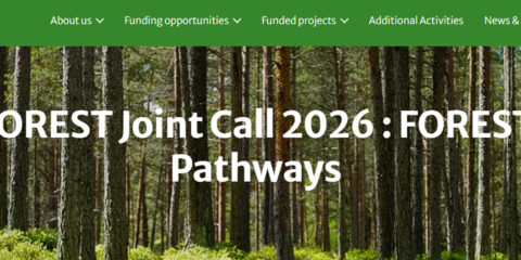 La AEI financiará la participación española en proyectos europeos de investigación e innovación forestal