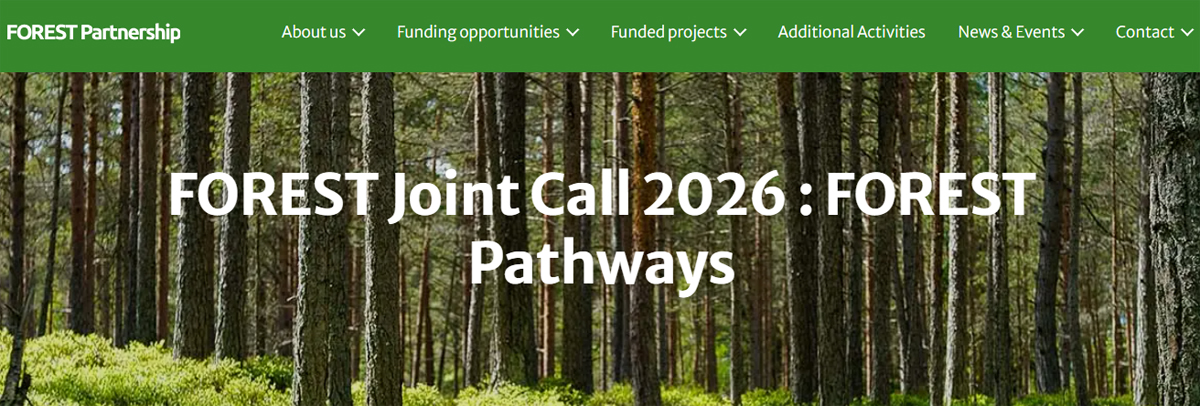 La AEI financiará la participación española en proyectos europeos de investigación e innovación forestal